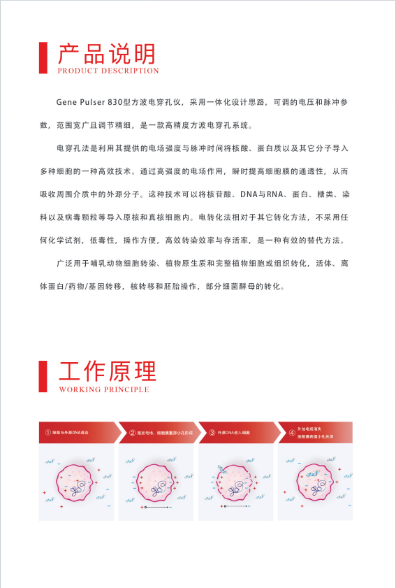 威尼德 Gene Pulser 830 方波电穿孔仪 正面展示，紧凑设计适合实验室操作