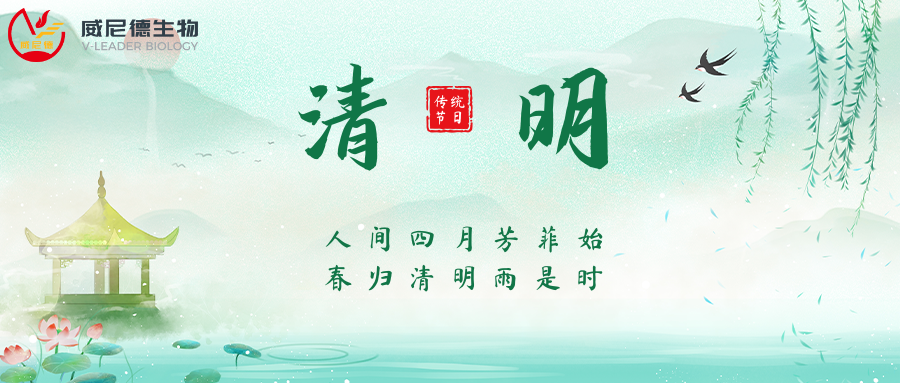 清明节封面.png